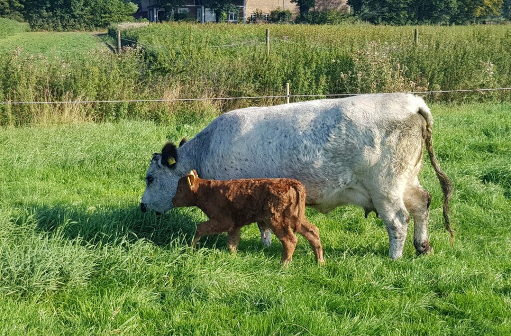 Philip Deskau Landwirtschaft und Jagd