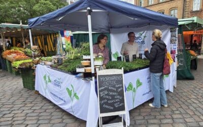 Microgreens Ostsee